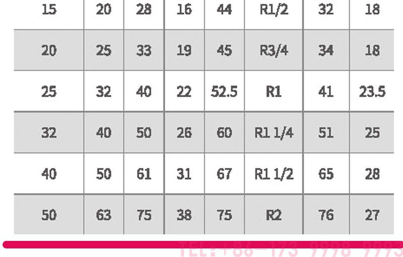 ????????????????????????????????? PPH????????4???????????